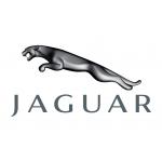 Auto JAGUAR